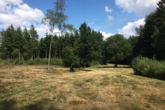Staldhøj eng 2018